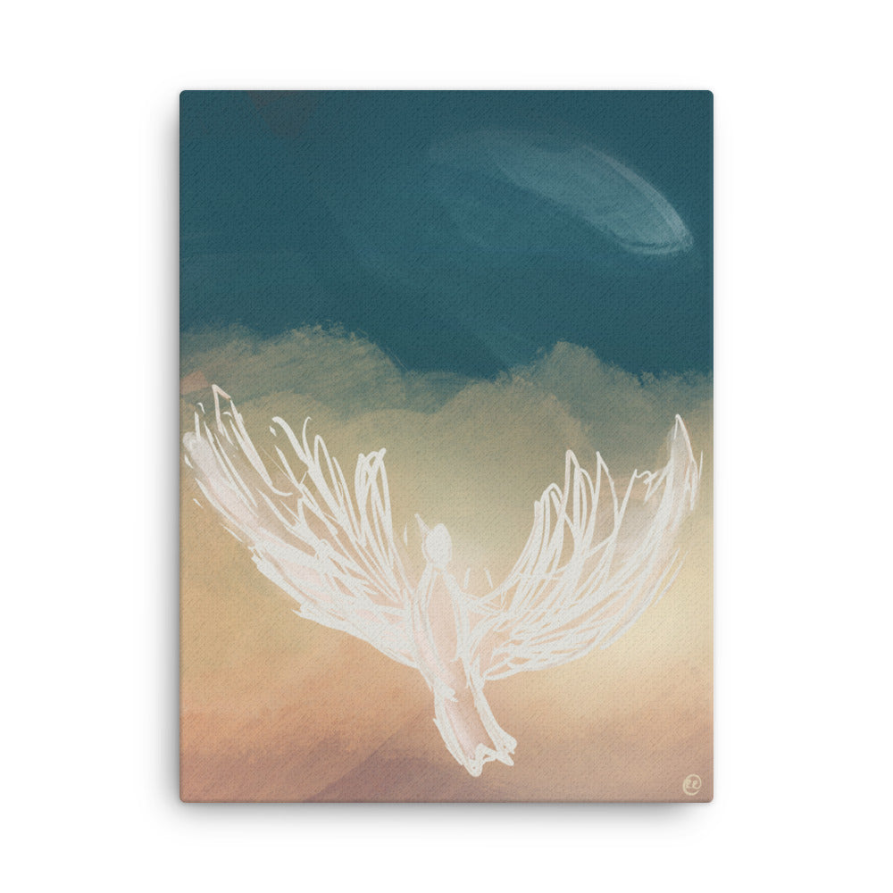 Soar